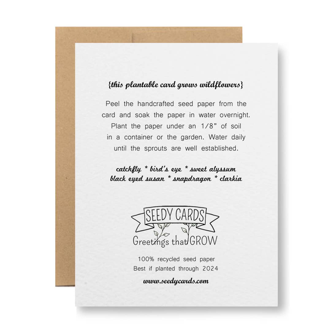 Plantable Greeting Card - Orange Poppy "Happy Birthday"