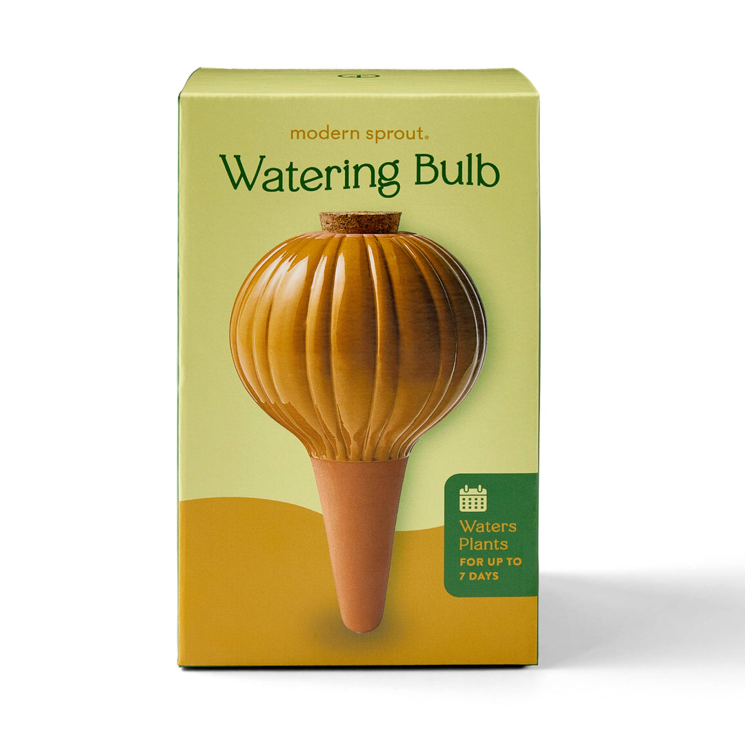 Terracotta Watering Bulb: Sage