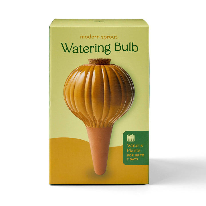 Terracotta Watering Bulb: Sage