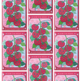 Lost Marbles Tomato Seeds