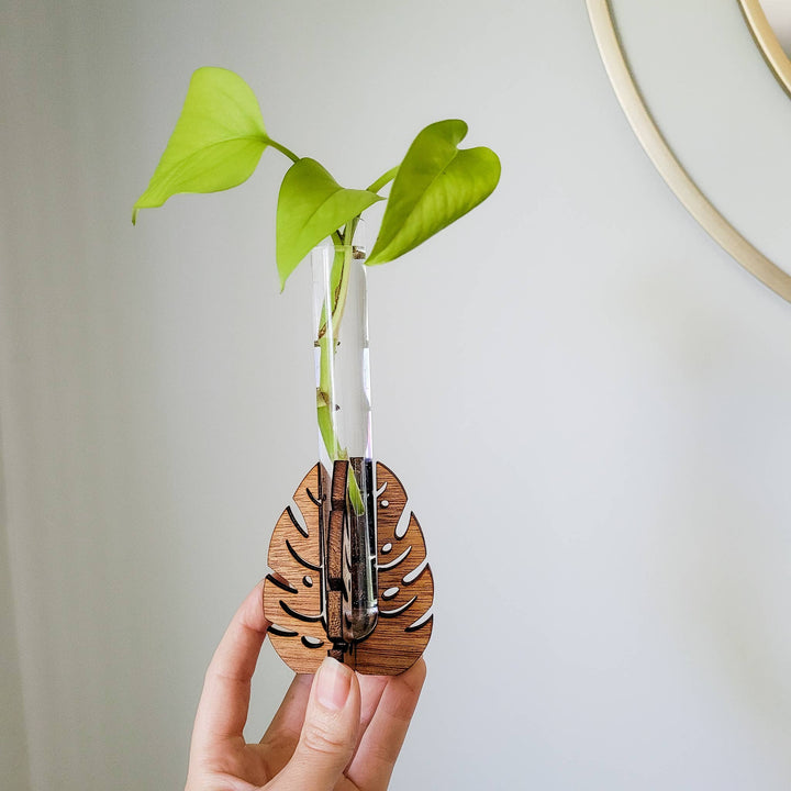 Test Tube Propagation Station Monstera Test Tube Holder