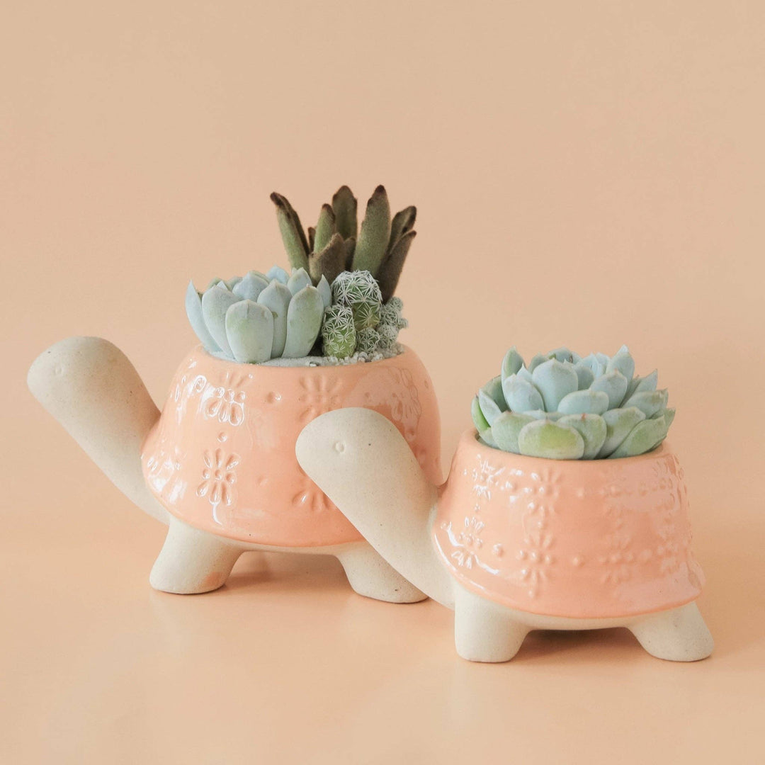 Turtle Planter | Sunset : Medium