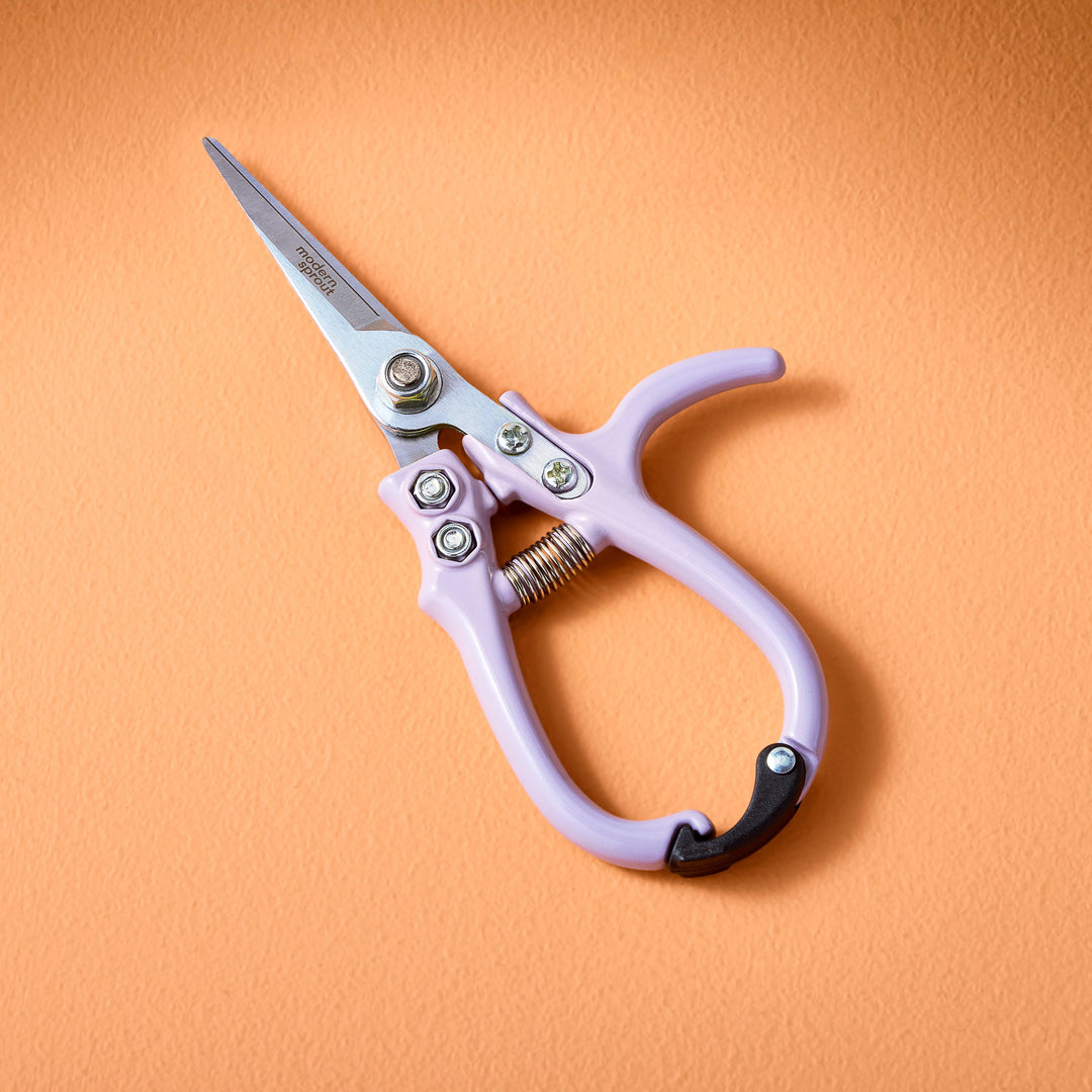 Garden Shears : Sage