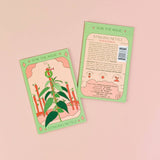 Seeds Stinging Nettle