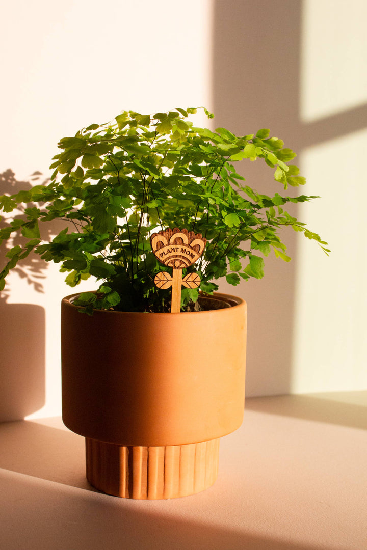 Plant Mom Wood Floral Plant Pick