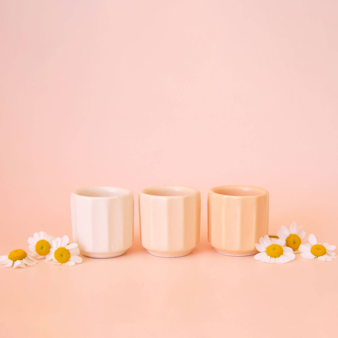 Mini Monroe Planter: Rainforest