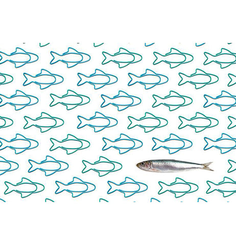 Sardine Paper Clips