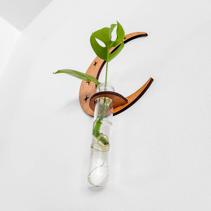 Wall Hanging Propagation Station Wooden Moon &amp; Stars