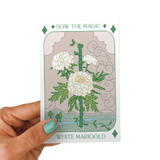 Seeds White Marigold Tarot Art Packet