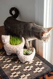 Garden Kitty Planter
