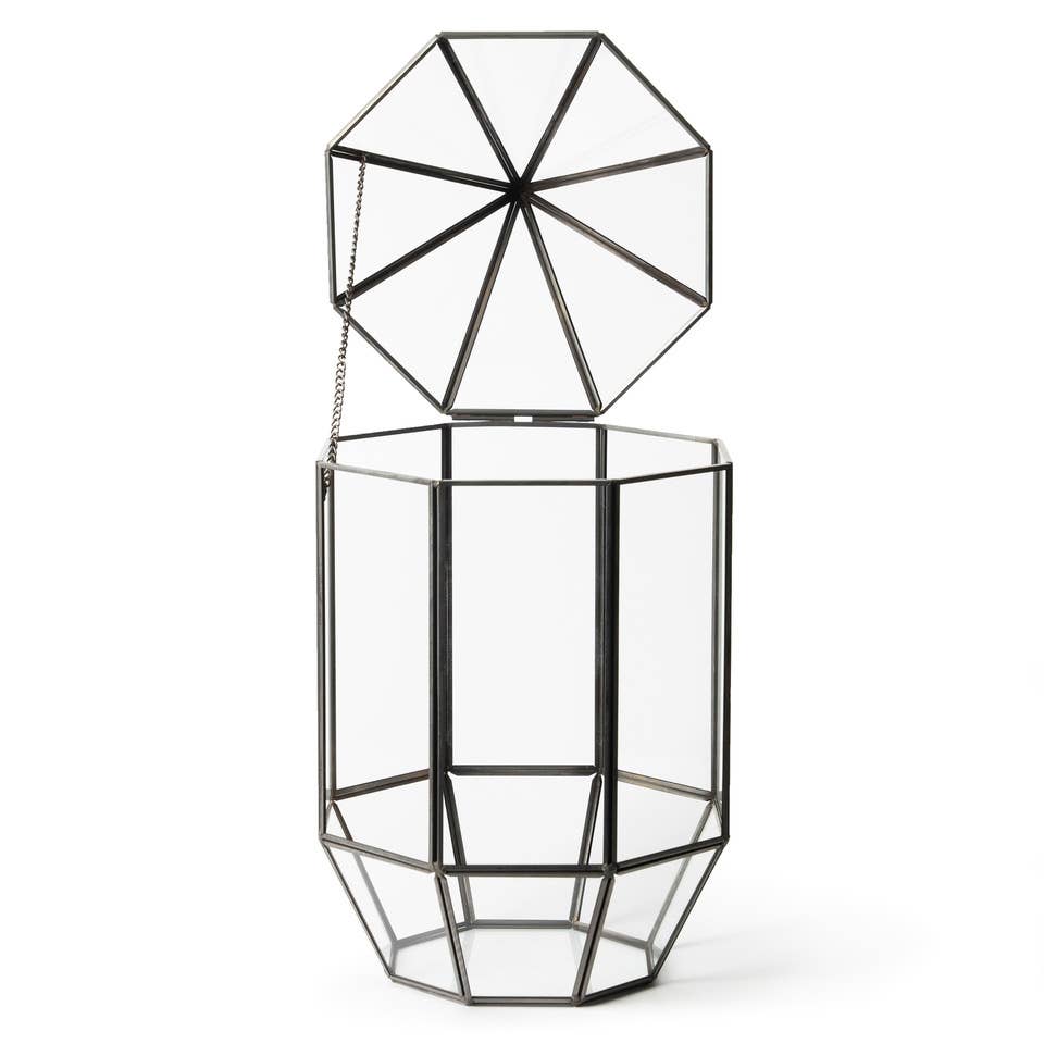 Glass Terrarium: Large