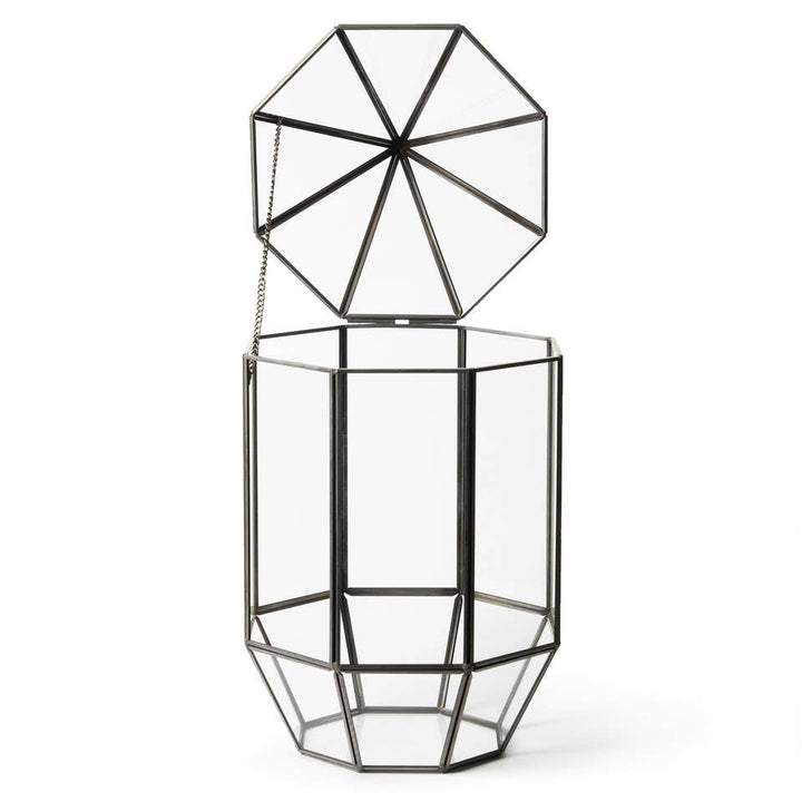 Glass Terrarium: Large