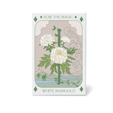 Seeds White Marigold Tarot Art Packet