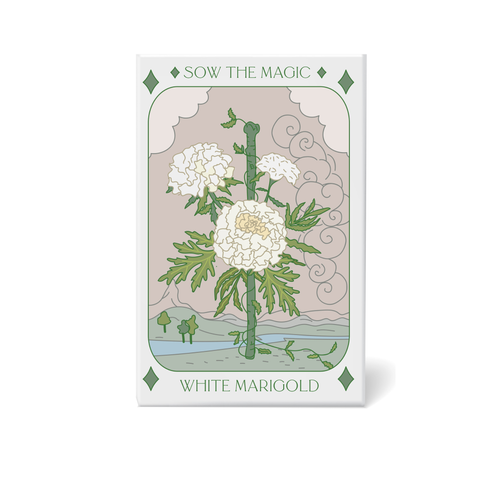 Seeds White Marigold Tarot Art Packet
