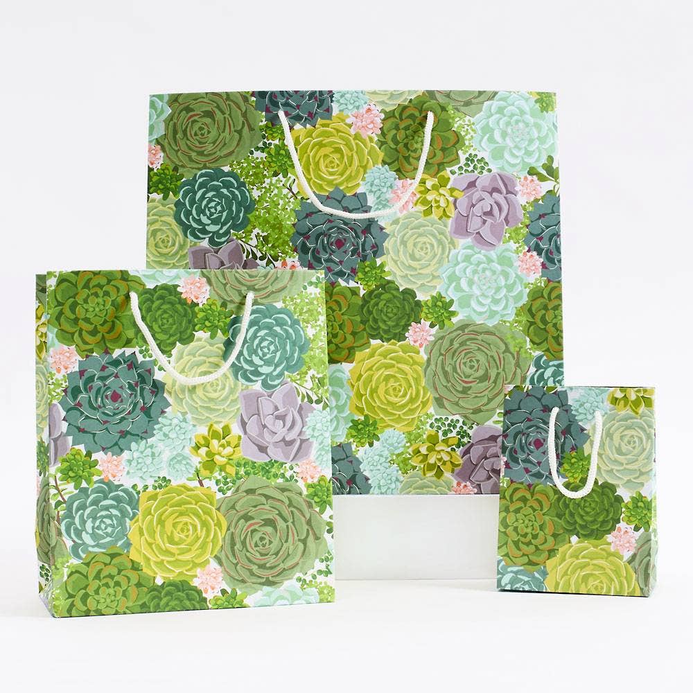 Succulent Gift Bag: Small
