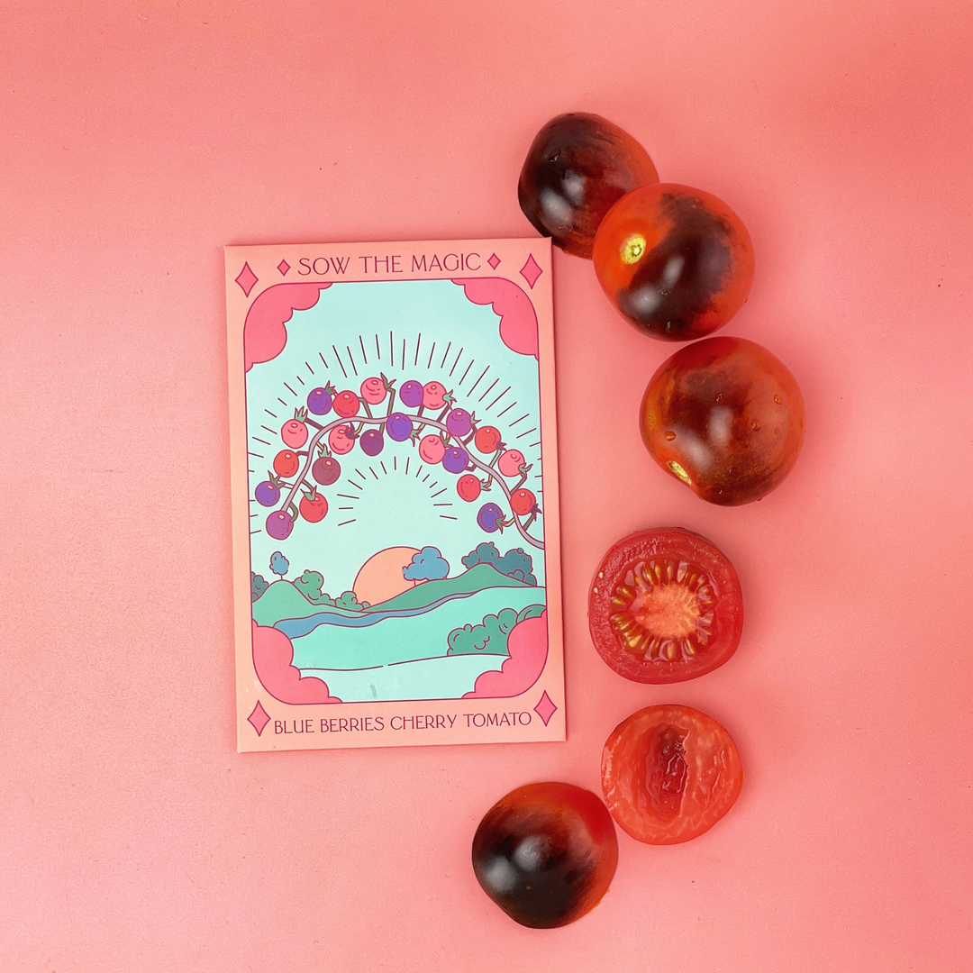 Seeds Blueberries Cherry Tomato Tarot Garden