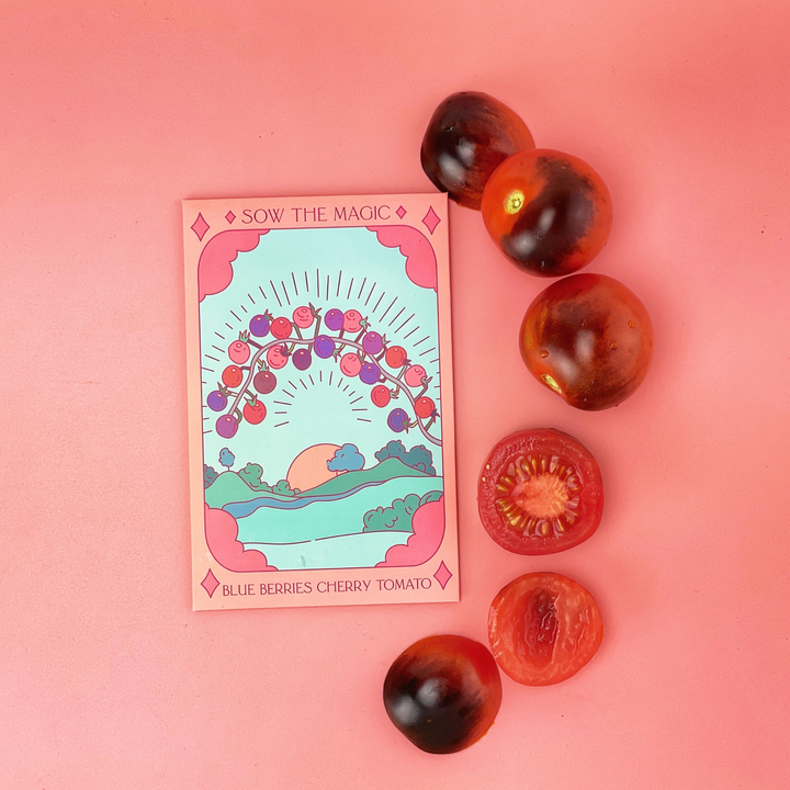Seeds Blueberries Cherry Tomato Tarot Garden