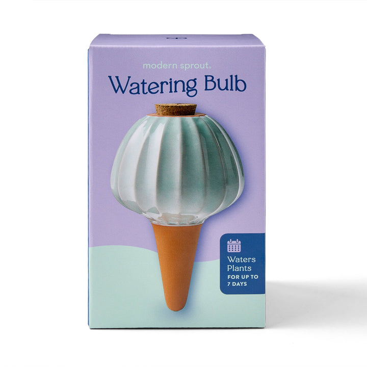 Terracotta Watering Bulb: Sage