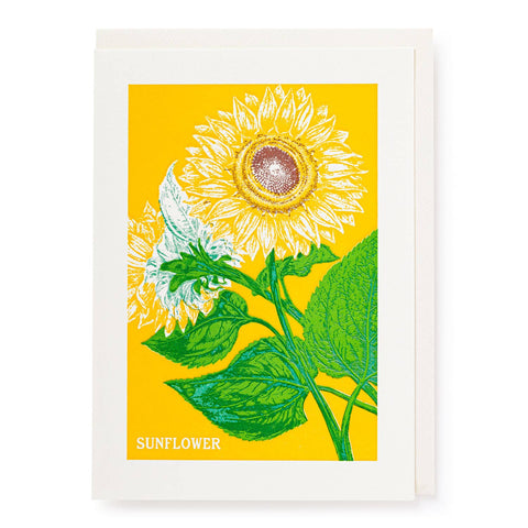 NHM Sunflower Greeting Card
