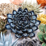 Ceramic Faux Flowers Succulents For Tabletop Or Wall Hangin: Peony Orange