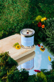 Lake House | Coconut-Soy Wax Candle : Mini Cotton Wick