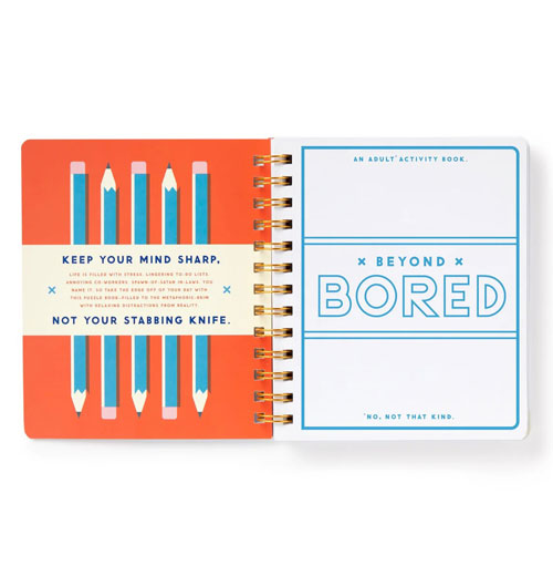 Beyond Bored Activity Book