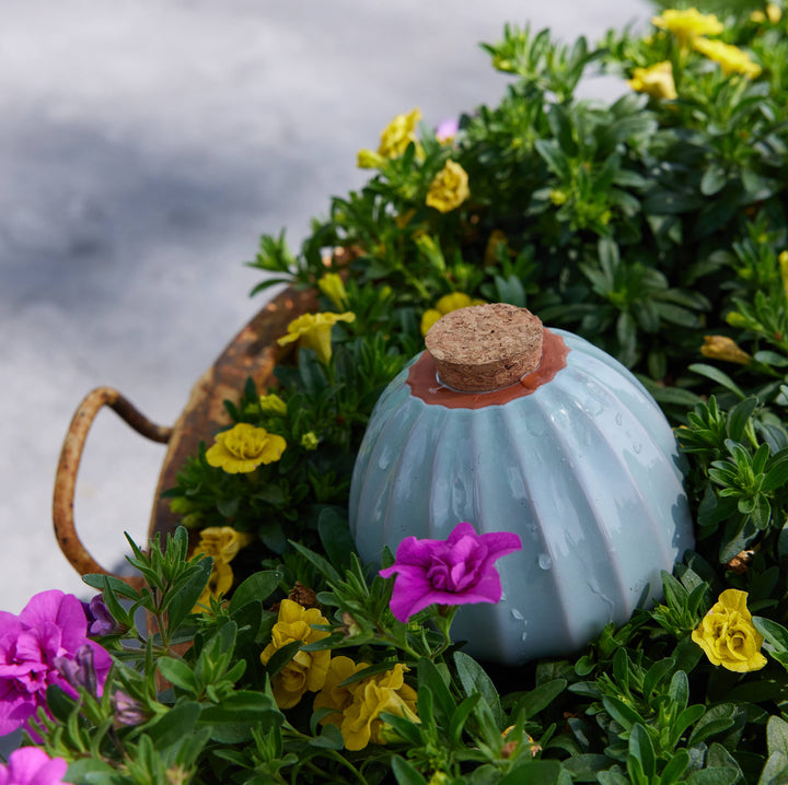 Terracotta Watering Bulb: Sage