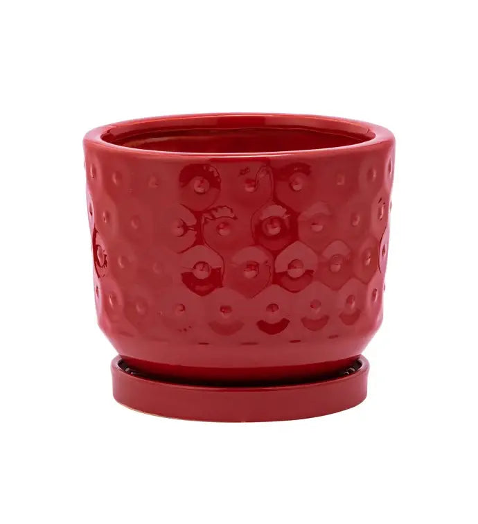4.5" Red Prism Planter with Saucer