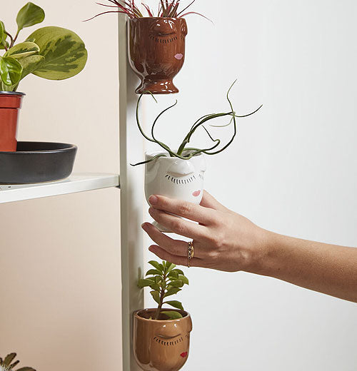 Celfie Magnetic Pot