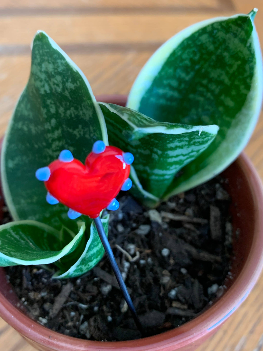 Glass Heart Plant Stick: Periwinkle Blue