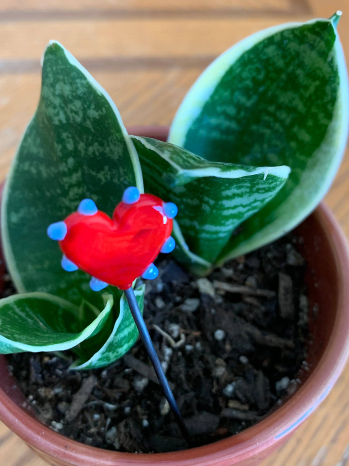Glass Heart Plant Stick: Periwinkle Blue