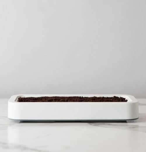 Microgreens Grower
