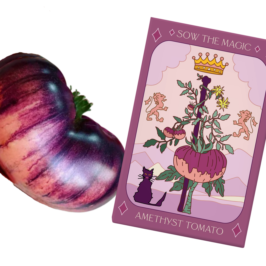 Seeds Amethyst Jewel Tomato Tarot Garden