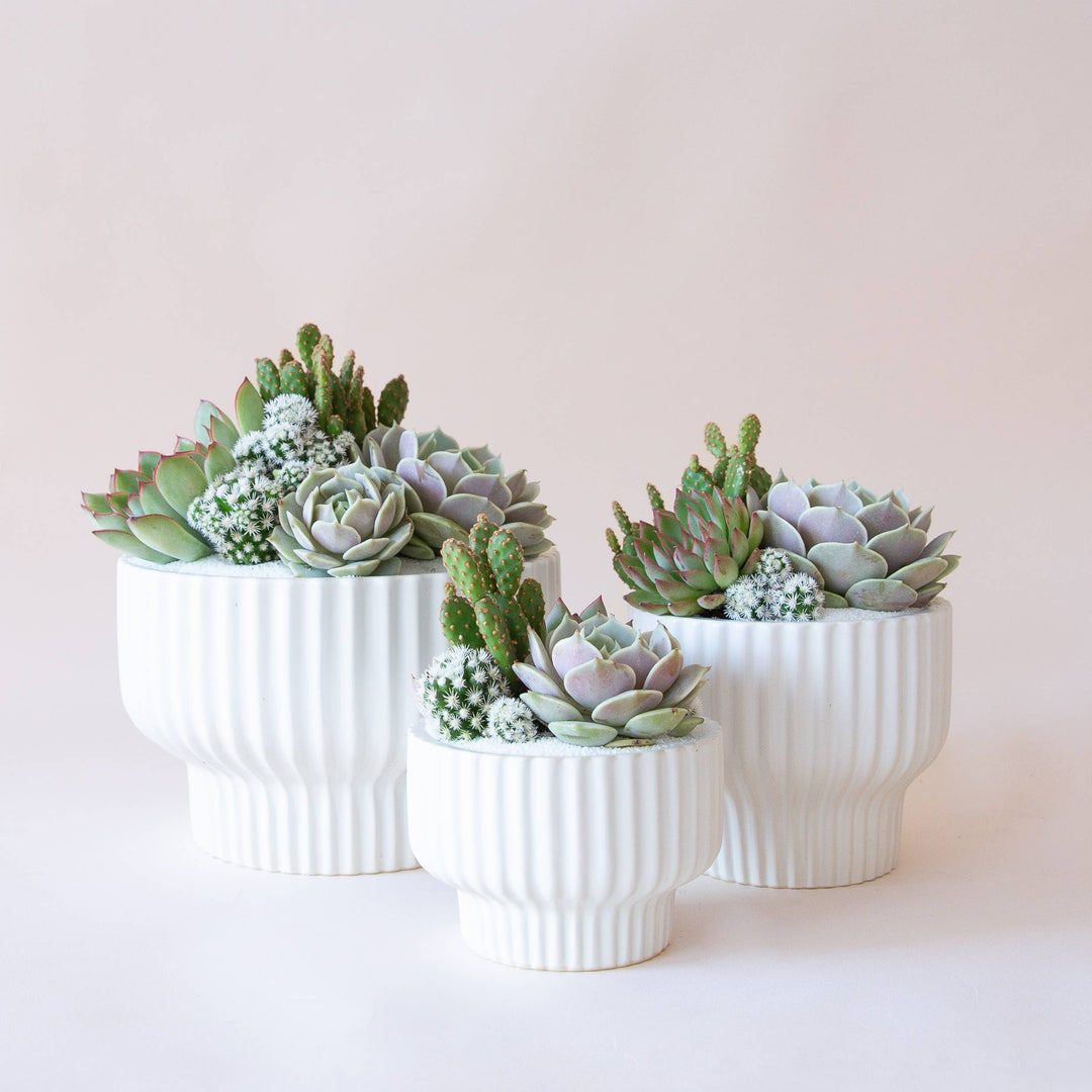 Presley Pedestal Planter - White 4.5 inch