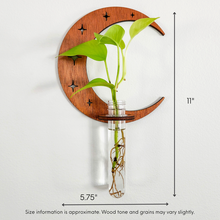 Wall Hanging Propagation Station Wooden Moon &amp; Stars