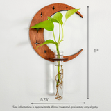 Wall Hanging Propagation Station Wooden Moon & Stars
