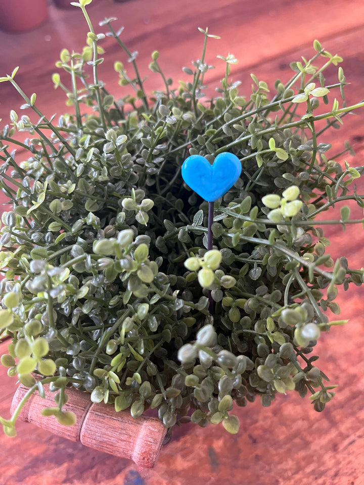 Glass Heart Plant Stick: Periwinkle Blue