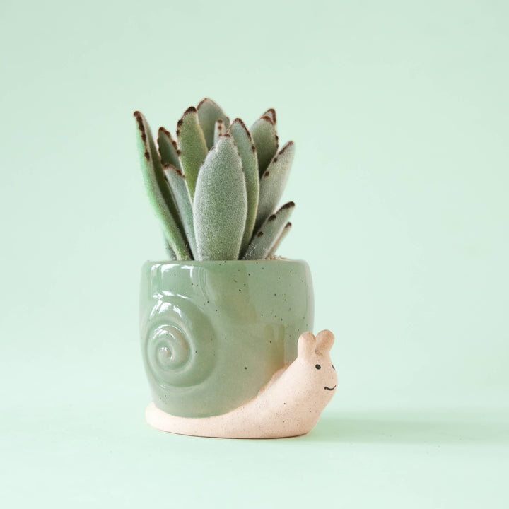 Snail Planter Lagoon Medium