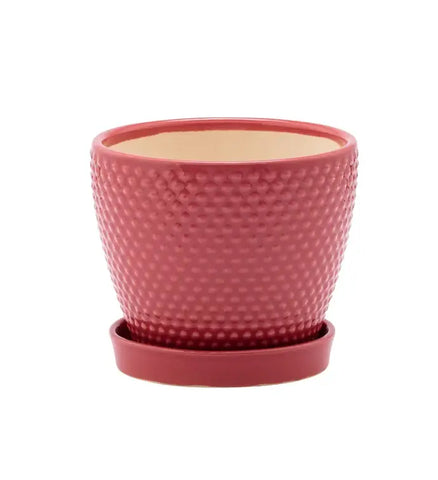 6" Pink Hobnail Pot with Saucer