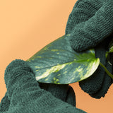 Leaf-Cleaning Gloves