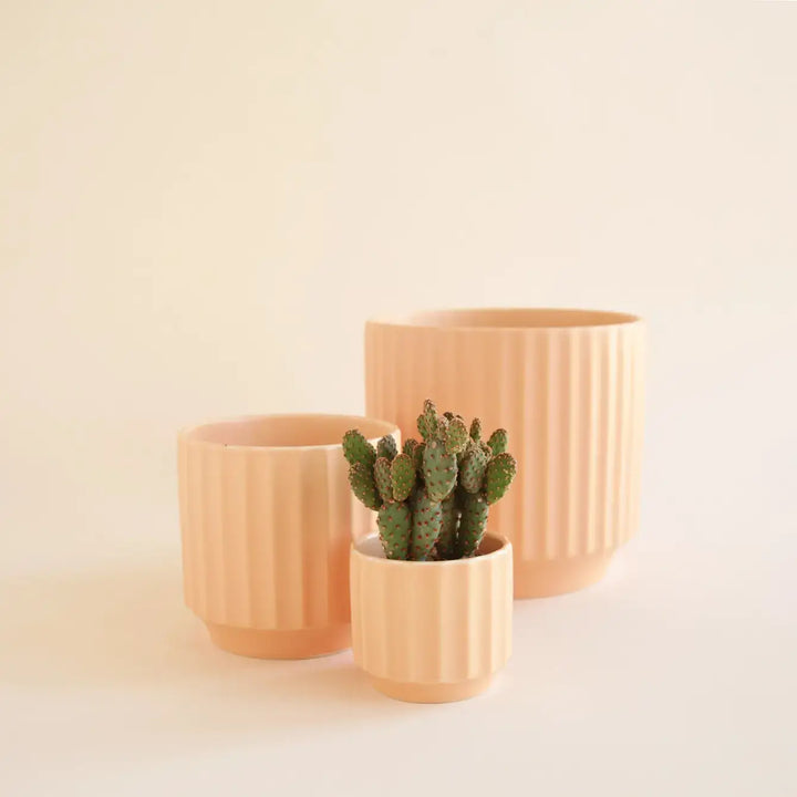 Monroe Planter | Sunset : 3 inch