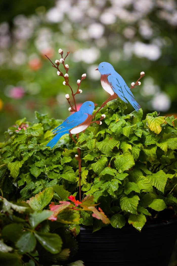 Bluebirds on Pussy Willow -Metal Silhouette Garden Yard Art