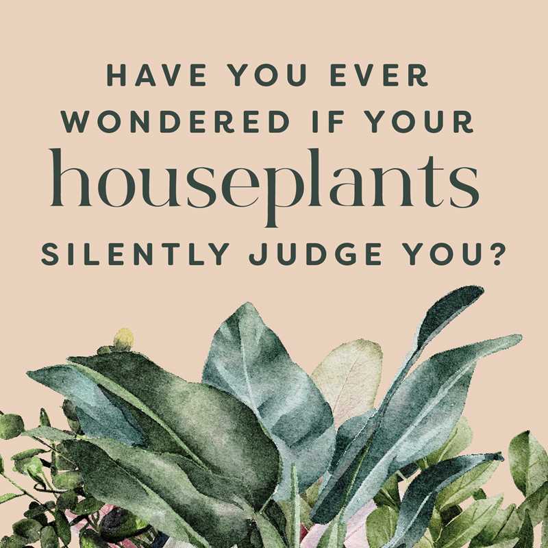 Houseplants and Their Fucked-Up Thoughts by Carlyle Christoff &amp; Elisabeth Saake