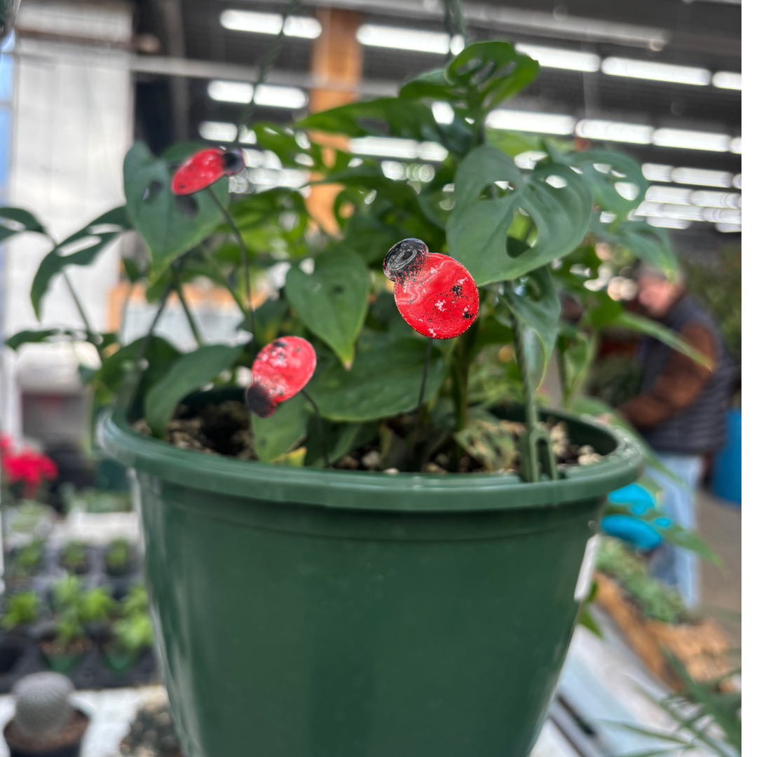 Small Copper Enamel Ladybug Plant Stake