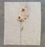 Paper Flower Spray