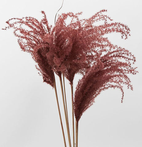 Dried Miscanthus