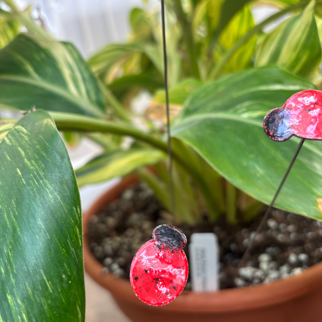Small Copper Enamel Ladybug Plant Stake