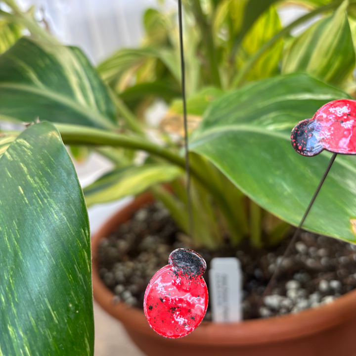 Small Copper Enamel Ladybug Plant Stake