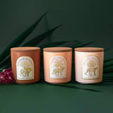 Golden Sunset Candle | Fresh Mango & Coconut Milk