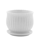 White Scalloped Pot with Saucer - Planter